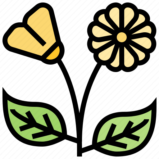Blossom, botanical, colorful, flower, gerbera icon - Download on Iconfinder