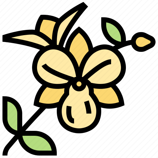 Bloom, colorful, decoration, fragrant, orchid icon - Download on Iconfinder