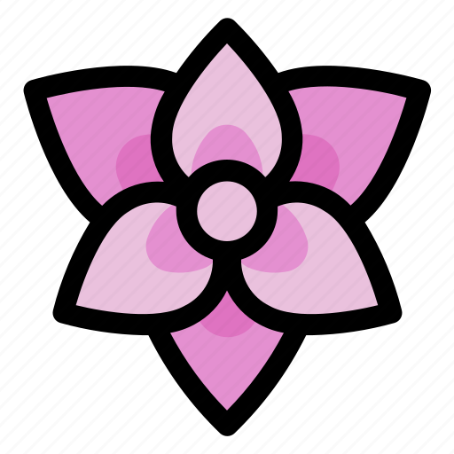 Nature, garden, flower, plant, floral, orchid icon - Download on Iconfinder