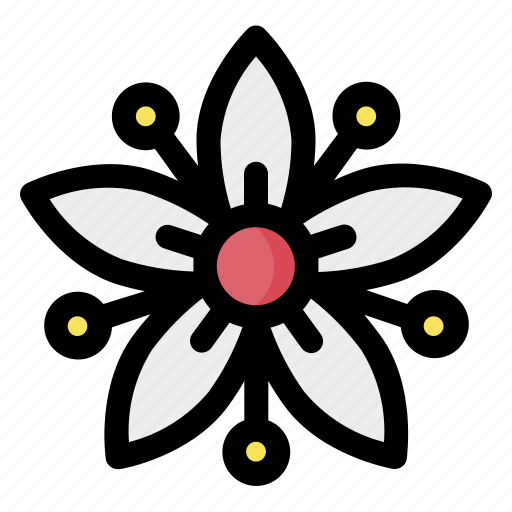 Nature, garden, plant, floral, spider, flower icon - Download on Iconfinder