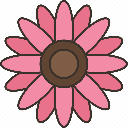 Gerbera, blossom, garden, decoration, nature icon - Download on Iconfinder