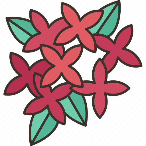 Ixora, flower, blooming, garden, decoration icon - Download on Iconfinder