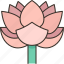 lotus, waterlily, flower, aquatic, tropical 