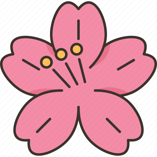 Sakura, flower, cherry, blossom, springtime icon - Download on Iconfinder