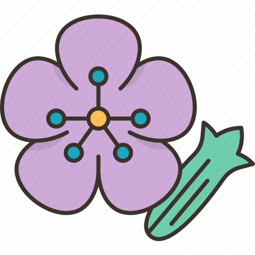 Saponaria, flower, plant, horticulture, nature icon - Download on Iconfinder