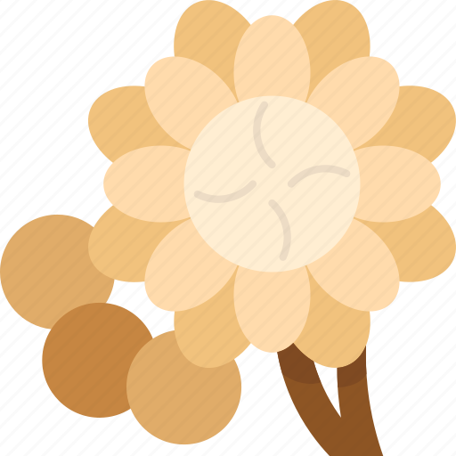 Bullet, wood, floral, tree, tropical icon - Download on Iconfinder