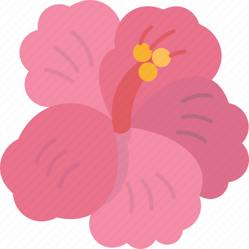 Chaba, flower, hibiscus, plant, tropical icon - Download on Iconfinder