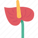 flamingo, flower, blossom, botanic, tropical