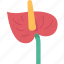 flamingo, flower, blossom, botanic, tropical 