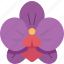 orchid, flower, floral, plant, garden 