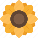 sunflower, flower, garden, seed, agriculture