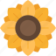 sunflower, flower, garden, seed, agriculture 