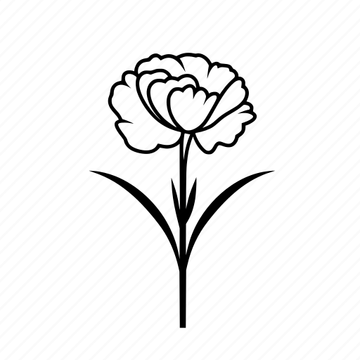 Carnation, mom, mother, flower icon - Download on Iconfinder