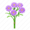aster, bouquet, flower, floral, decoration, blossom, botanical, flowers