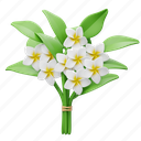 frangipani, bouquet, flower, floral, decoration, blossom, botanical, flowers