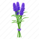 lavender, bouquet, flower, floral, decoration, blossom, botanical, flowers
