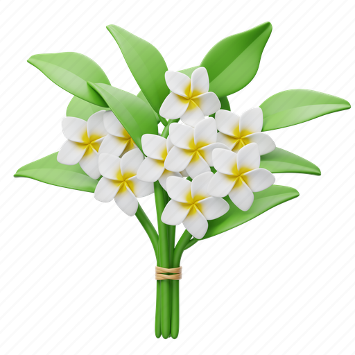 Frangipani, bouquet, flower, floral, decoration, blossom, botanical icon - Download on Iconfinder