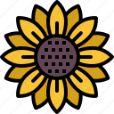 sunflower, flower, floral, garden, blossom, spring, nature