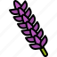 lavender, flower, floral, garden, blossom, spring, nature 
