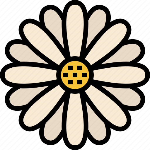 Daisy, flower, floral, garden, blossom, spring, nature icon - Download on Iconfinder