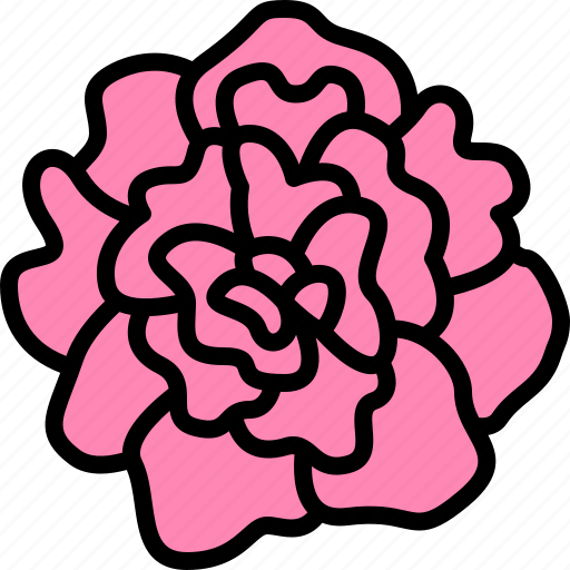 Carnation, flower, floral, garden, blossom, spring, nature icon - Download on Iconfinder