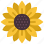 sunflower, flower, floral, garden, blossom, spring, nature 