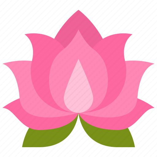 Lotus, flower, floral, garden, blossom, spring, nature icon - Download on Iconfinder