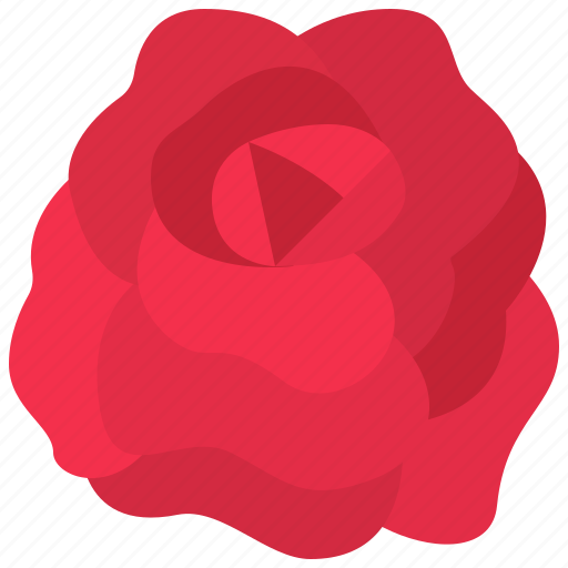 Rose, flower, floral, garden, blossom, spring, nature icon - Download on Iconfinder