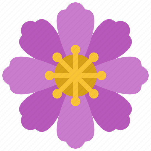 Cosmos, flower, floral, garden, blossom, spring, nature icon - Download on Iconfinder