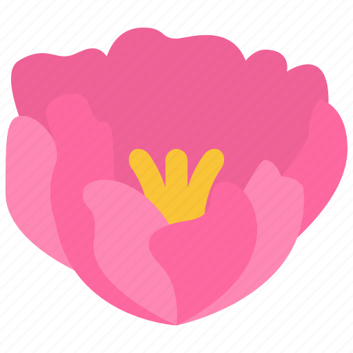 Peony, flower, floral, garden, blossom, spring, nature icon - Download on Iconfinder