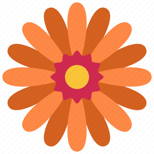 Gerbera, flower, floral, garden, blossom, spring, nature icon - Download on Iconfinder