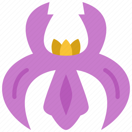 Iris, flower, floral, garden, blossom, spring, nature icon - Download on Iconfinder