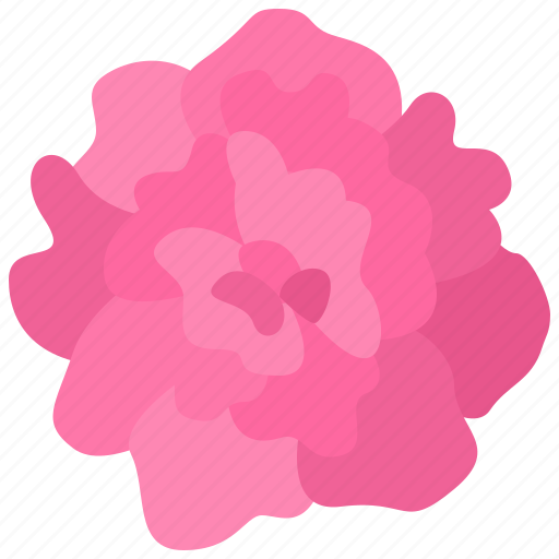 Carnation, flower, floral, garden, blossom, spring, nature icon - Download on Iconfinder
