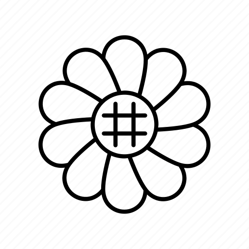 Flower, floral, daisy, nature, beautiful icon - Download on Iconfinder