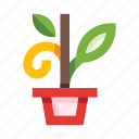 flower, pot, flowerpot, plant, sprout