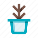 pot, flowerpot, plant, tree
