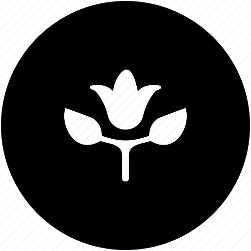 Bud, flower, natural, plant, product icon - Download on Iconfinder
