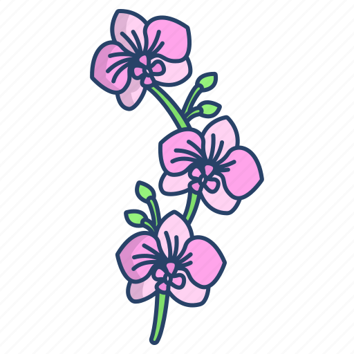 Orchid icon - Download on Iconfinder on Iconfinder