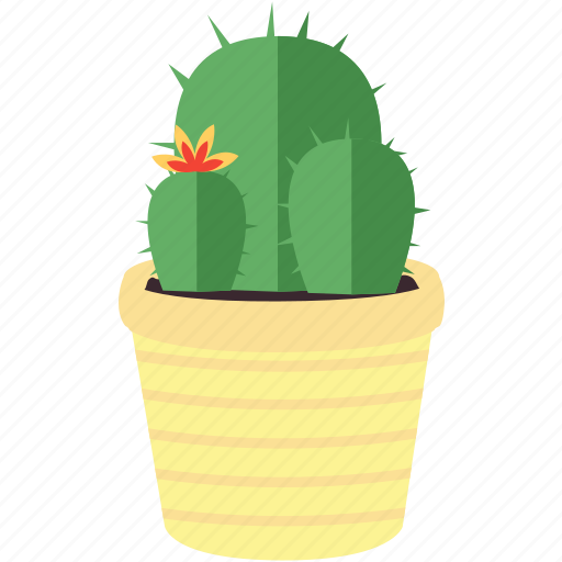 Flowers, cactus, flower, forest, garden, plant, tree icon - Download on Iconfinder