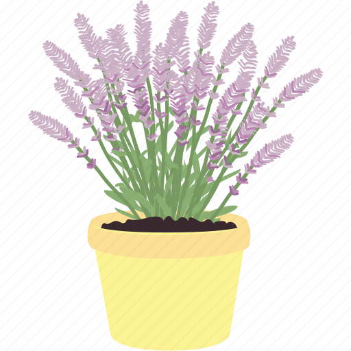 Flowers, bloom, ecology, flower, garden, spring, violet icon - Download on Iconfinder