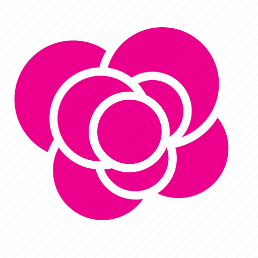 Abstract, bloom, flower, garden, nature, rose, floral icon - Download on Iconfinder