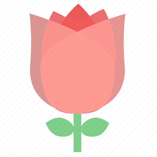 Floral, flowers, garden flowers, garden plants, pink flower, pink rose, plants icon - Download on Iconfinder