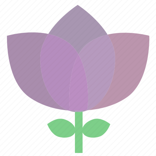 Floral, flowers, garden, garden flowers, garden plants, plants, purple flower icon - Download on Iconfinder