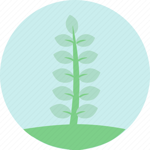 Blue flowers, blue leaves, flowers, garden, garden plants, leaves, plants icon - Download on Iconfinder