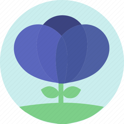 Blue flower, floral, flowers, garden, garden flowers, garden plants, plants icon - Download on Iconfinder