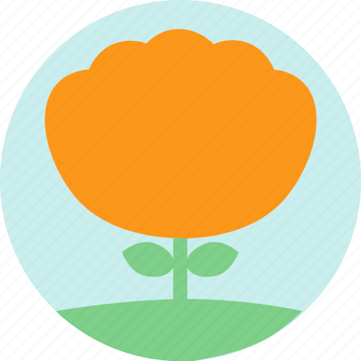 Floral, flowers, garden, garden flowers, garden plants, orange flower, plants icon - Download on Iconfinder