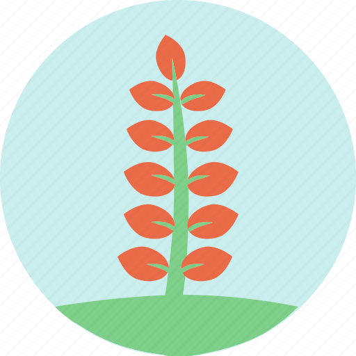 Flowers, garden, garden plants, leaves, plants, red flower, red leaves icon - Download on Iconfinder