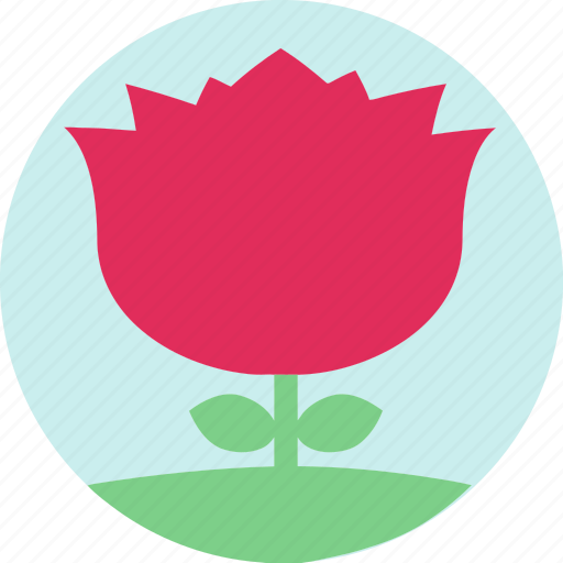 Floral, flowers, garden, garden flowers, garden plants, pink flower, plants icon - Download on Iconfinder
