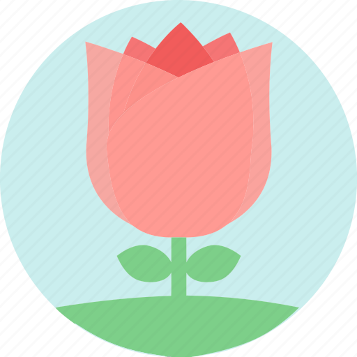 Floral, flowers, garden plants, pink flower, pink rose, plants, rose icon - Download on Iconfinder