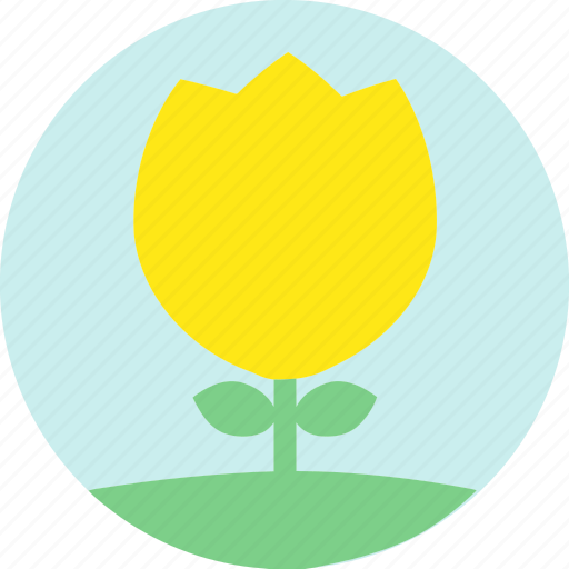 Floral, flowers, garden, garden flowers, garden plants, plants, yellow flower icon - Download on Iconfinder